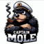 CaptainMole