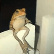 Frog_Master