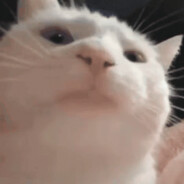 Spektakulärt Right!