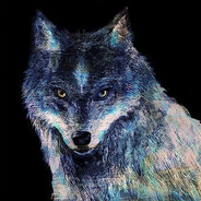 Erudite ☆ ⋆ . * ･