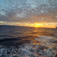 曹賊？那是種精神