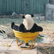 需要解开联系QQ3894979539