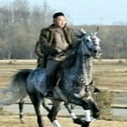 夕阳落在我的铠甲，王子不一定骑白马