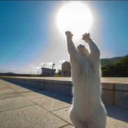 国家尚未富强，这把不会马枪