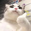 Sosun