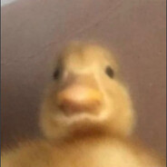 LKEddie