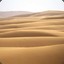 Dune