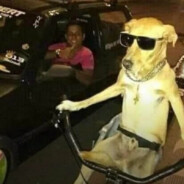 inexo - steam id 76561198177092750