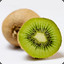 kiwifruit1908