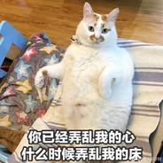 带人过球凯里欧文