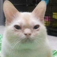 PETRIK