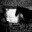 wierd looking horse