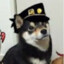 Yare yare Dogze