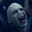 Harry Potter #Voldemort Swallows