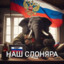 ГОЙДА
