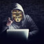 Anonymous