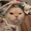 SQRAT