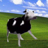 Polish Cow