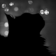 给™赛宝发把狙