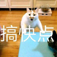 我家猫会后空翻