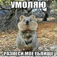 69 y.o. peek | kWOKKA