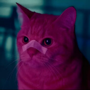 𝖳𝗂𝗇𝗌𝖻𝗒
