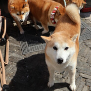 宣城工业大学校草zhx