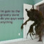 друг