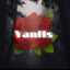 Yanl1s