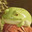 TheIceCreamfrog