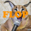 flop