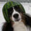 Melon Collie