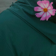 MS solid culture medicken