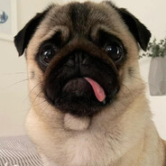 爱之战士蛋黄酱13