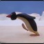 Pingu&#039;s Dad