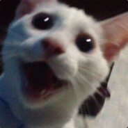 本是天上逍遥仙儿