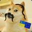 Ukrainien Dog (UA)