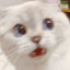 기마린
