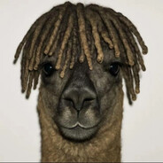 xxxDonkey