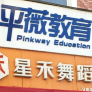 平薇教育第一打手