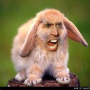 ape man oo oo aa aa
