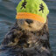 TheOtterIsReal