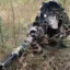 Fifth Manor First Sniper