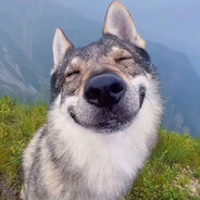 普攻伤害高平a高伤害