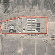 注意看，这个熊太狠了