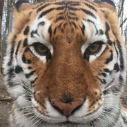 社会不由你做主