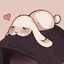 KumaBun!