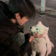 满山的猴子我腚最红