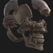 坐在坟头调戏你