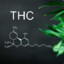 THC Spirit